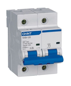 MCB Chint NXB-125 100A 10KA 2P